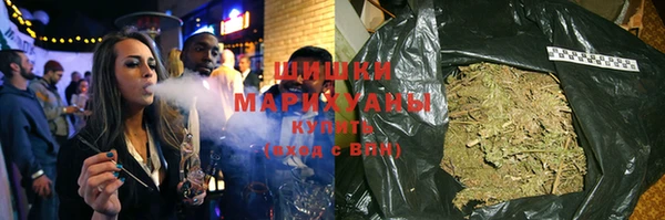 прущие грибы Вуктыл
