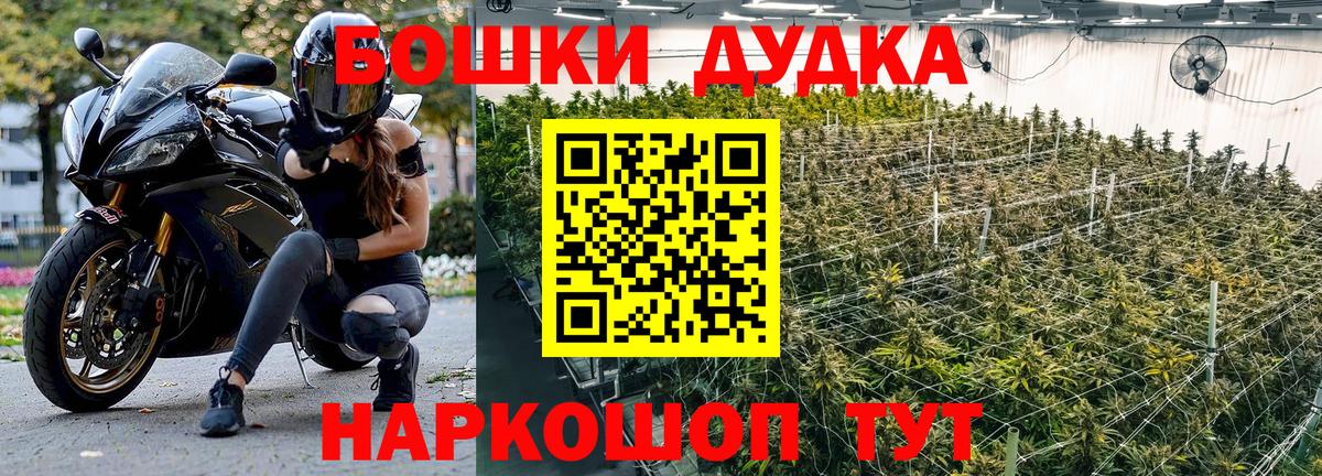 Бошки марихуана MAZAR Буйнакск